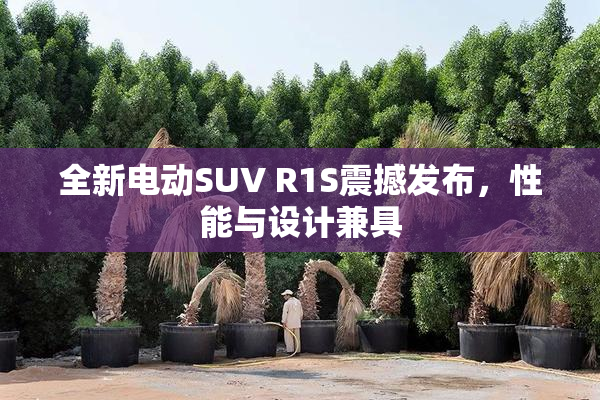 全新电动SUV R1S震撼发布，性能与设计兼具