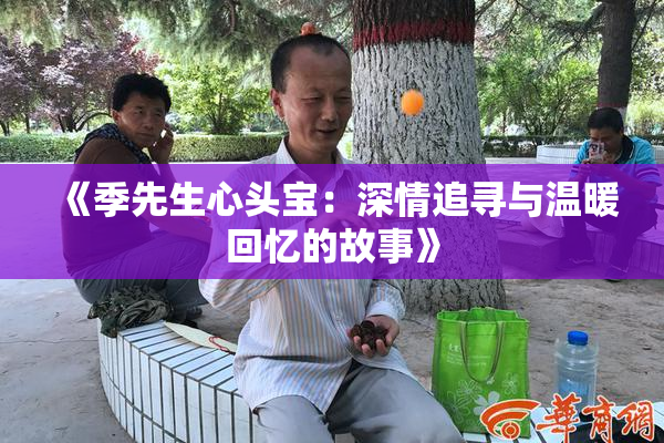 《季先生心头宝：深情追寻与温暖回忆的故事》
