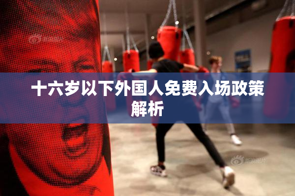 十六岁以下外国人免费入场政策解析