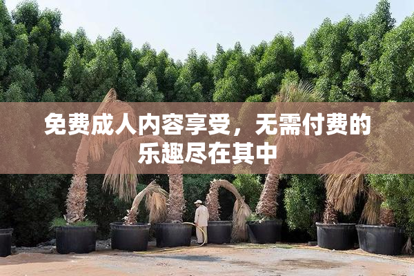免费成人内容享受，无需付费的乐趣尽在其中