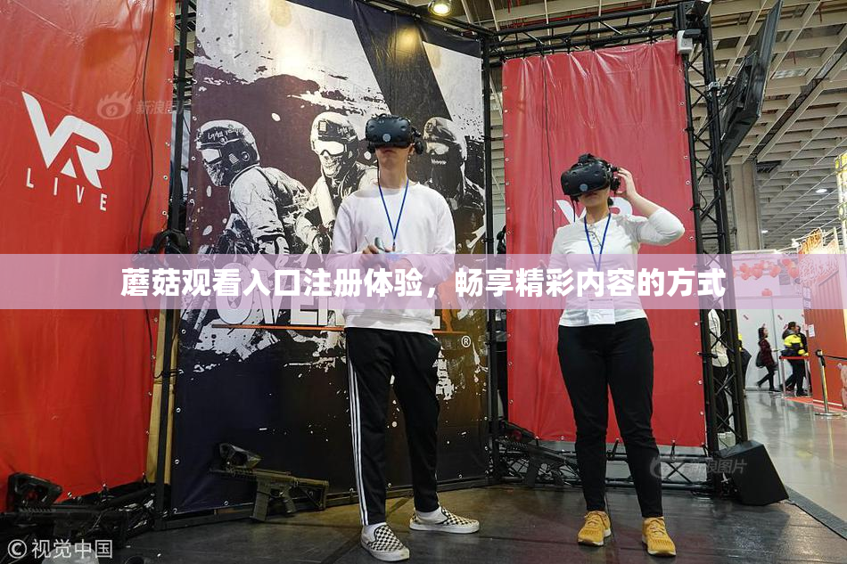 蘑菇观看入口注册体验，畅享精彩内容的方式
