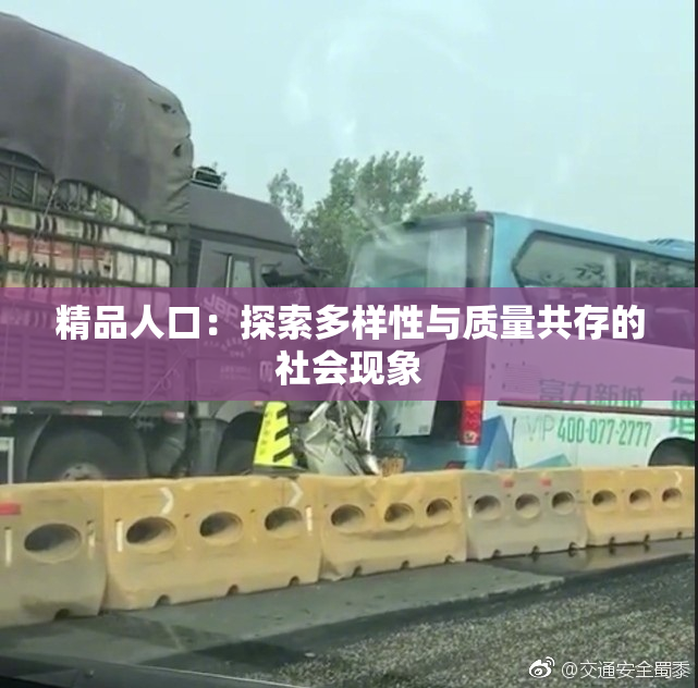 精品人口：探索多样性与质量共存的社会现象