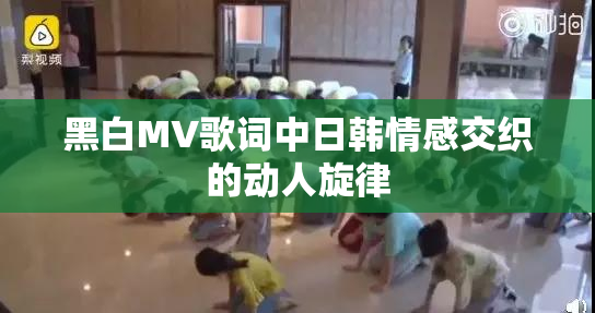 黑白MV歌词中日韩情感交织的动人旋律