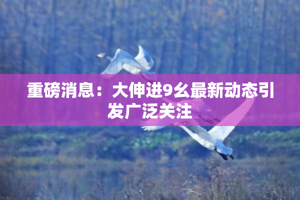 重磅消息：大伸进9幺最新动态引发广泛关注