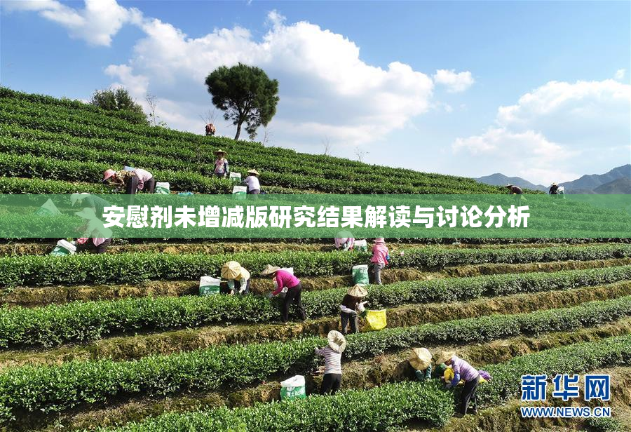 安慰剂未增减版研究结果解读与讨论分析