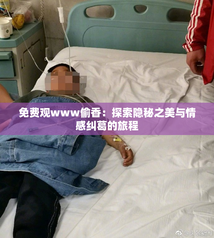 免费观www偷香：探索隐秘之美与情感纠葛的旅程