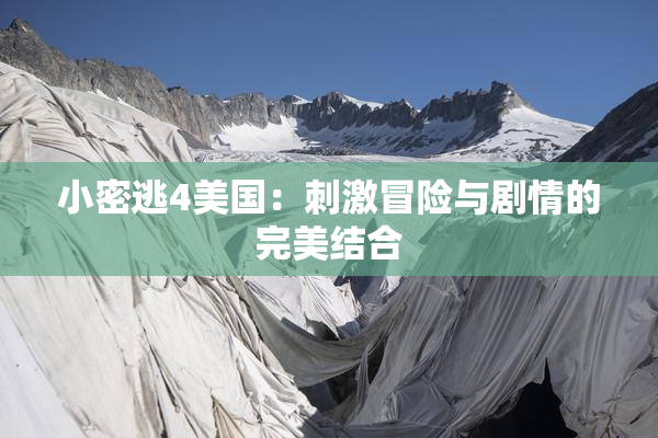 小密逃4美国：刺激冒险与剧情的完美结合