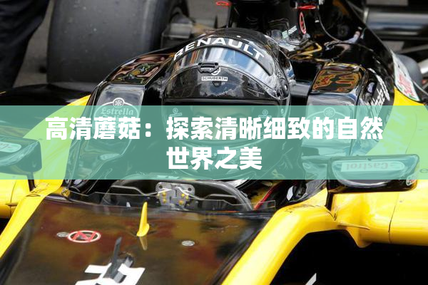高清蘑菇：探索清晰细致的自然世界之美