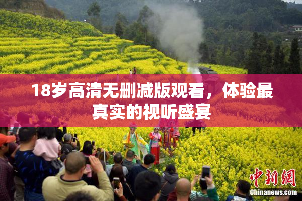 18岁高清无删减版观看，体验最真实的视听盛宴