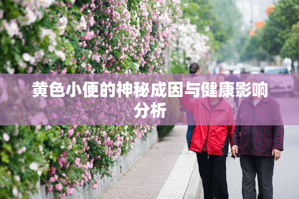 黄色小便的神秘成因与健康影响分析