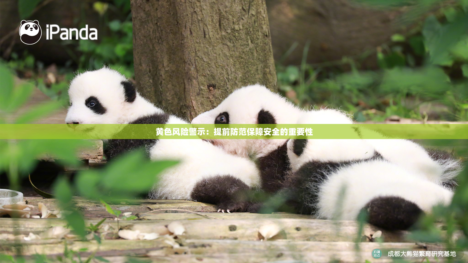 黄色风险警示：提前防范保障安全的重要性