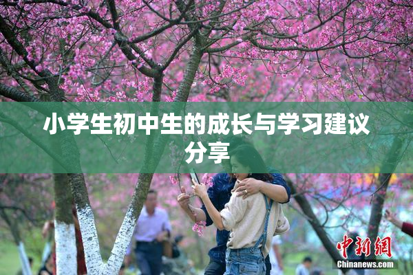 小学生初中生的成长与学习建议分享