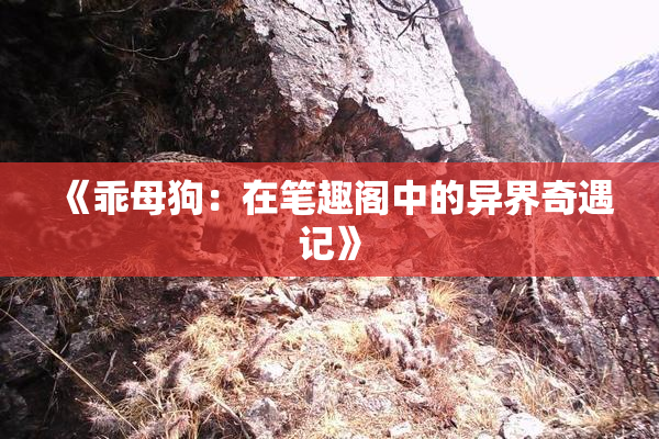 《乖母狗：在笔趣阁中的异界奇遇记》