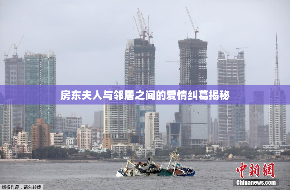 房东夫人与邻居之间的爱情纠葛揭秘