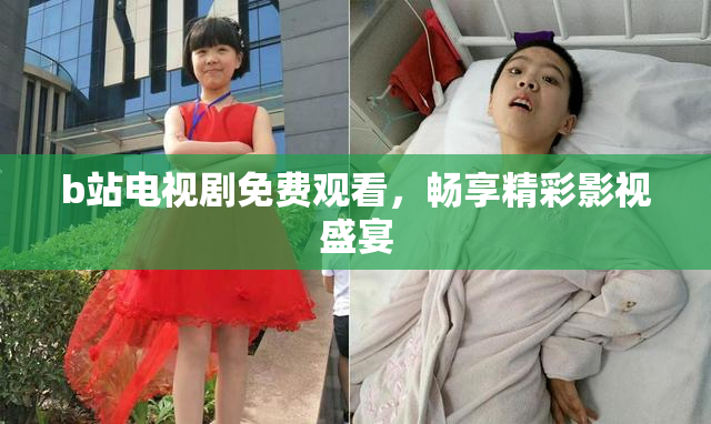 b站电视剧免费观看，畅享精彩影视盛宴
