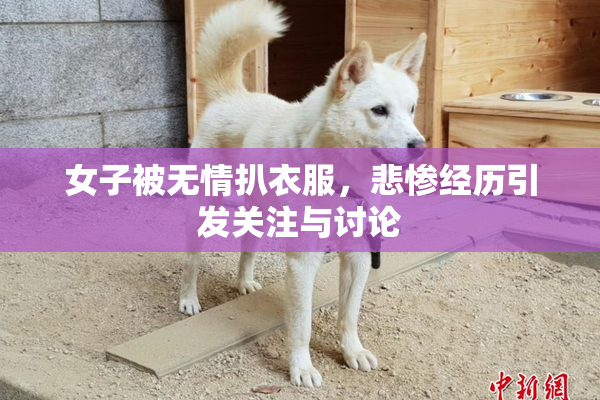 女子被无情扒衣服，悲惨经历引发关注与讨论