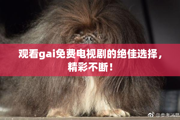 观看gai免费电视剧的绝佳选择，精彩不断！