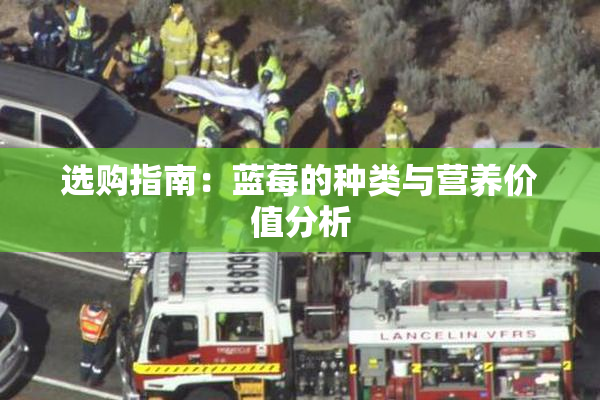 选购指南：蓝莓的种类与营养价值分析