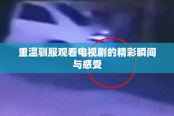 重温驯服观看电视剧的精彩瞬间与感受