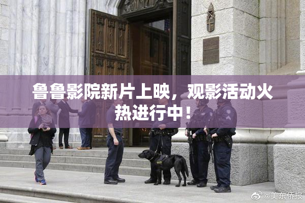 鲁鲁影院新片上映，观影活动火热进行中！