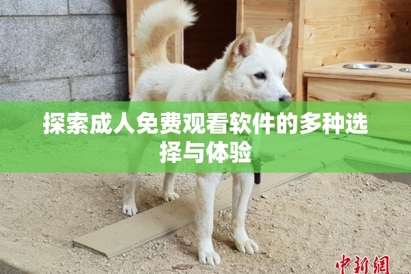 探索成人免费观看软件的多种选择与体验