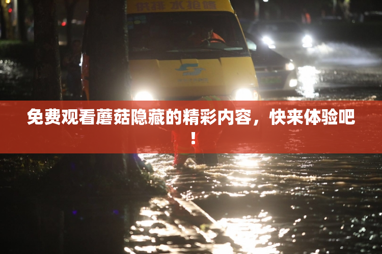 免费观看蘑菇隐藏的精彩内容，快来体验吧！