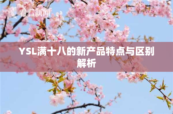 YSL满十八的新产品特点与区别解析