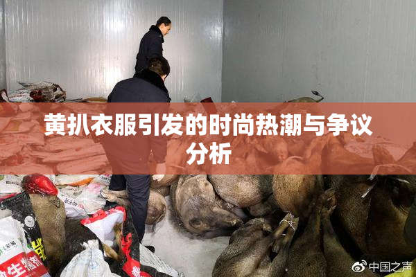 黄扒衣服引发的时尚热潮与争议分析