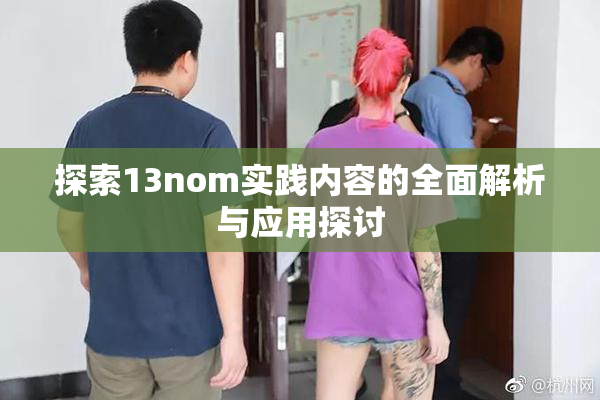探索13nom实践内容的全面解析与应用探讨