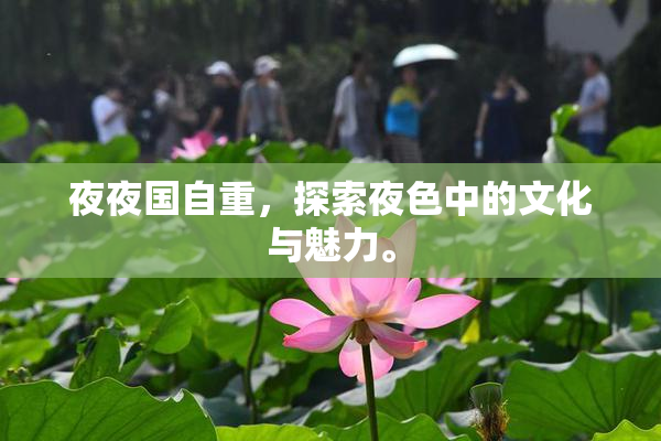 夜夜国自重，探索夜色中的文化与魅力。