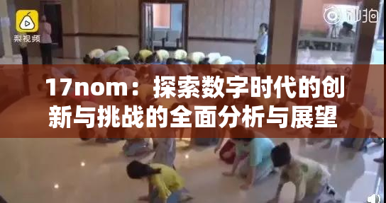 17nom：探索数字时代的创新与挑战的全面分析与展望