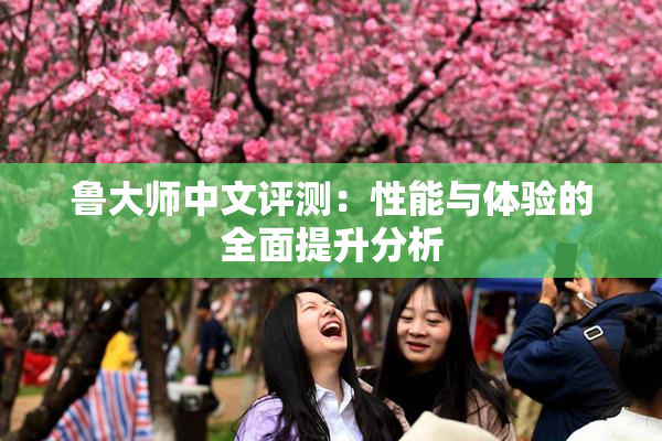 鲁大师中文评测：性能与体验的全面提升分析