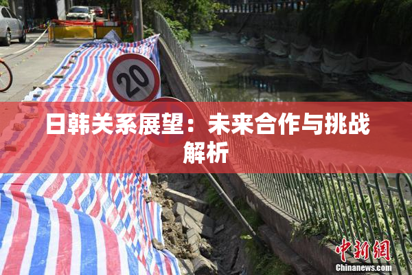 日韩关系展望：未来合作与挑战解析