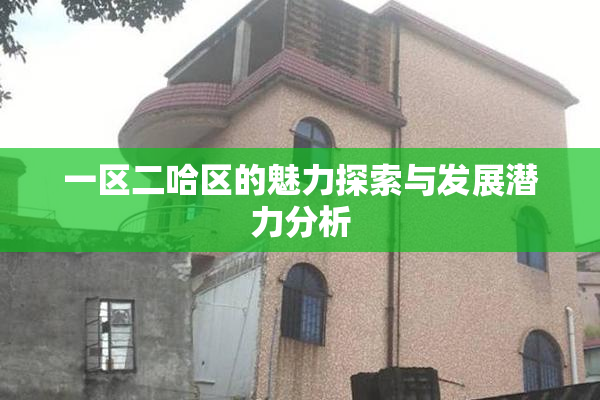 一区二哈区的魅力探索与发展潜力分析