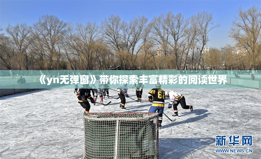 《yn无弹窗》带你探索丰富精彩的阅读世界
