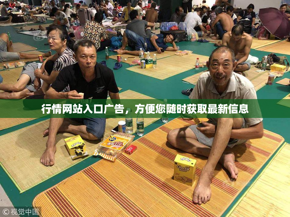 行情网站入口广告，方便您随时获取最新信息