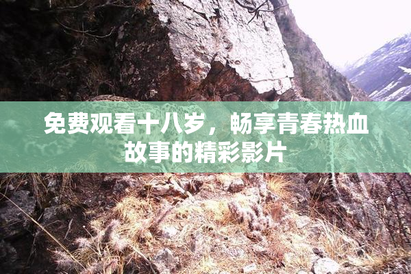 免费观看十八岁，畅享青春热血故事的精彩影片