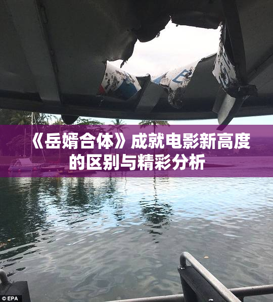 《岳婿合体》成就电影新高度的区别与精彩分析