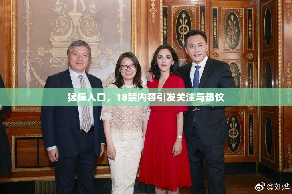 猛撞入口，18禁内容引发关注与热议