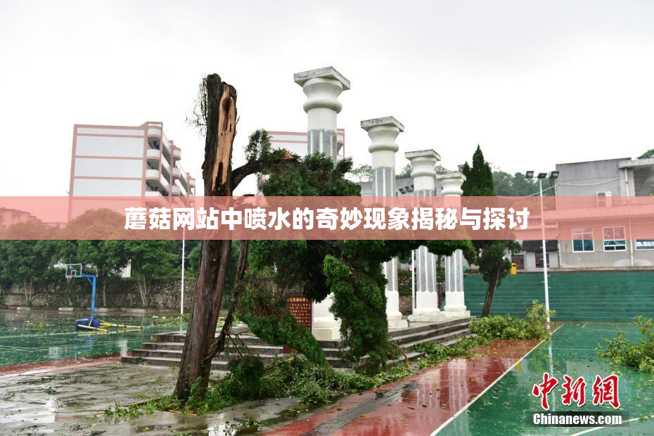 蘑菇网站中喷水的奇妙现象揭秘与探讨