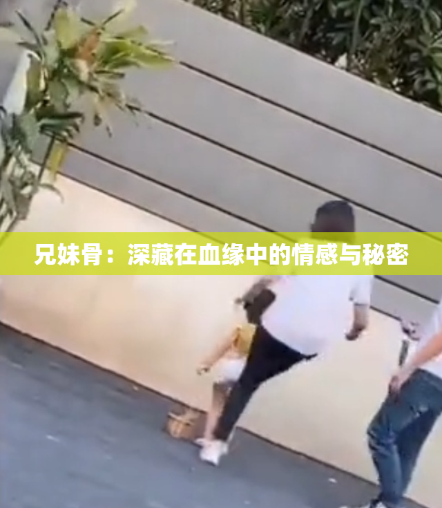 兄妹骨：深藏在血缘中的情感与秘密