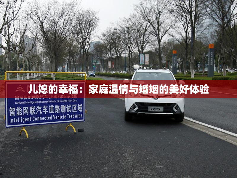 儿媳的幸福：家庭温情与婚姻的美好体验
