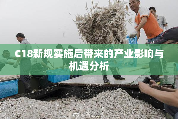 C18新规实施后带来的产业影响与机遇分析