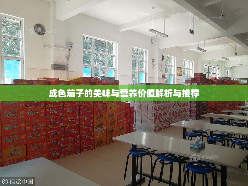 成色茄子的美味与营养价值解析与推荐