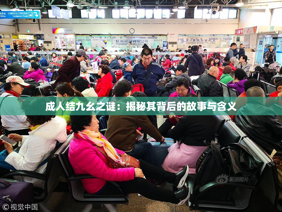 成人结九幺之谜：揭秘其背后的故事与含义