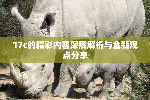 17c的精彩内容深度解析与全新观点分享