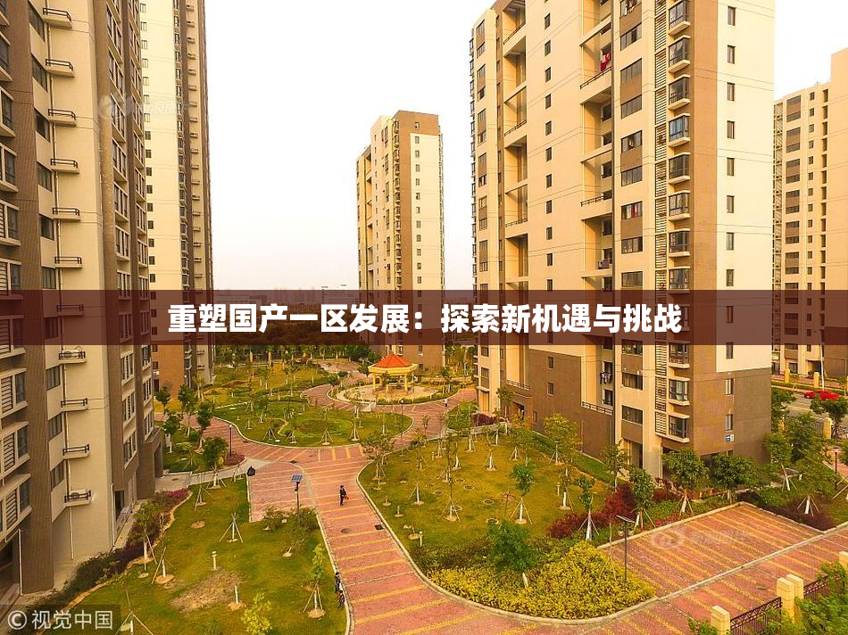 重塑国产一区发展：探索新机遇与挑战