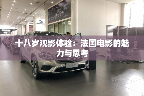 十八岁观影体验：法国电影的魅力与思考