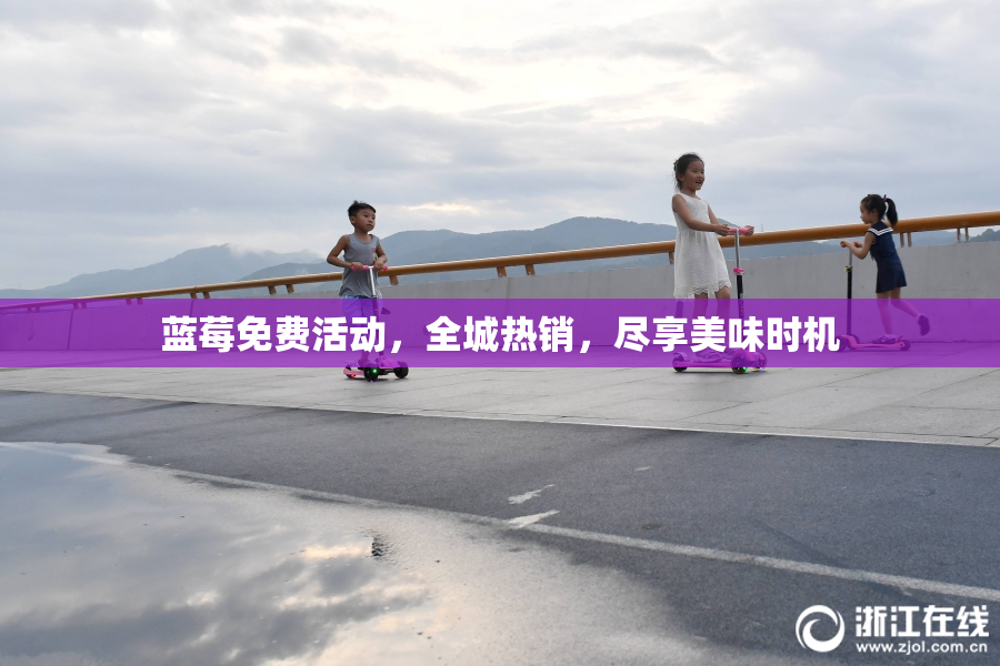蓝莓免费活动，全城热销，尽享美味时机