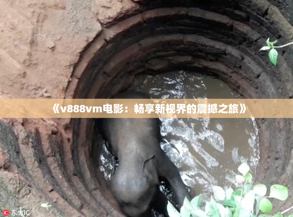 《v888vm电影：畅享新视界的震撼之旅》